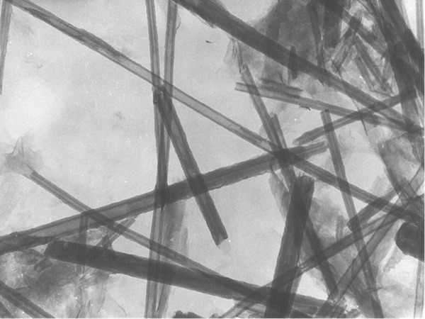 Fibres de Chrysotile au Microscope Electronique à Transmission Analytique