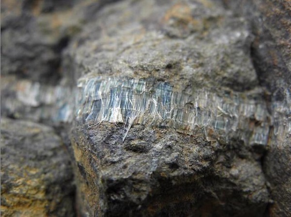 Filon de chrysotile dans une serpentinite