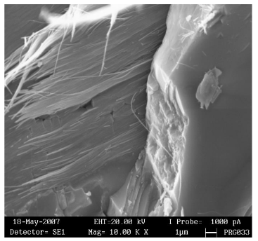 Chrysotile et Antigorite au MEB
